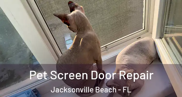 Pet Screen Door Repair Jacksonville Beach - FL