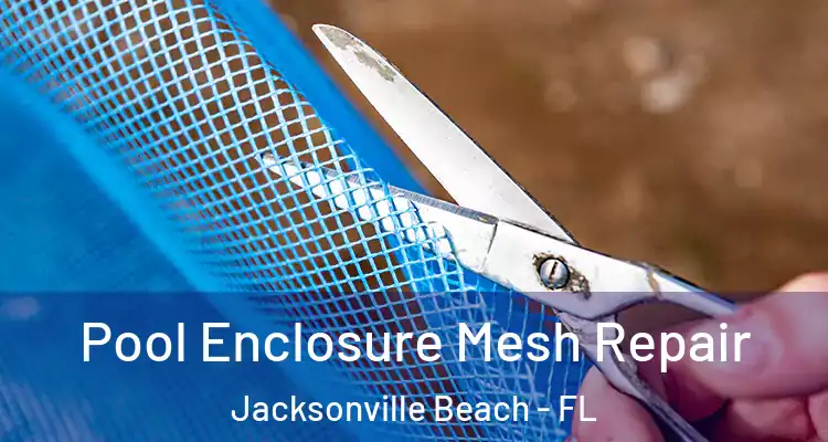 Pool Enclosure Mesh Repair Jacksonville Beach - FL